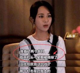 杨紫爆料娱乐圈视频,真实与虚幻的碰撞  第3张